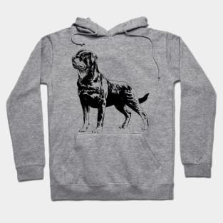 rottweiler portrait Hoodie